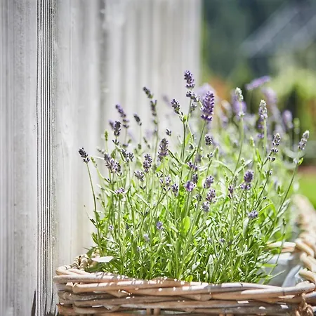 شاليه Dirndl Und Buam سالباخ هينترغليم