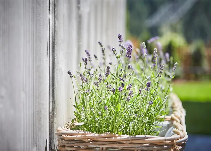 Chalet Dirndl Und Buam Saalbach-Hinterglemm